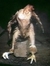 Jogle