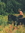 Barnyard ISF (BarnyardISF) | 119 comments