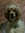 Loya Sinha | 5 comments