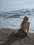 Sandy