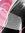 Nichole's icon