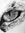 caracal-eyes
