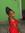 Kadisha
