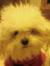 Margie