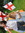 Susan | 659 comments