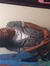 Tamia Webb
