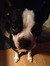 Lucy