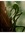 Adam Wayne | 2 comments