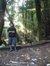 Wildan