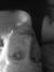 Corina