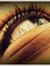 Aarthi