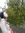 Amy Perry (Amy_Perry) | 201 comments