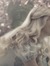 Dee