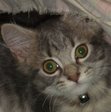 ♥ Nell ♥