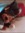 Occamy Potter Occamy (OccamyGeek) | 36 comments
