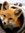 Foxe