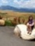 Melinda...