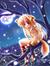 Starfoxie