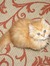 Mignon De Klerk