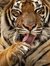 Abhijit