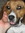 Kira