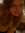 Haley