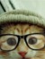 Specs&Ginger
