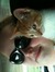 Melissa Stoneback-Tuttle