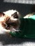 Jackie