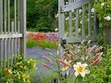 Heavenlypeachgarden