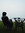 Mansee | 2030 comments