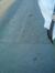 Emira Morina