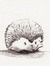 Cecilie