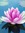 Jennie - Webbweaver Reviews | 153 comments