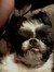 Amy