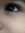 Jess