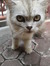 Betty dian anggraeni