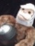 Sid