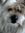 Kelly Baird