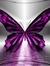 Utbanbutterfly628gmail.com