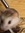 Nathan