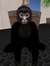 Stevevander6