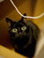 Casilde