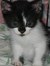 Molly