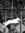 Inugami...