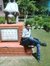 Ravi Bhim