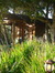 The Library House