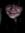 Colleen...