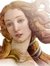 Aphrodisiastes Le fay