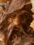 Davide Scaccianoce